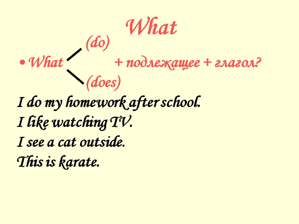 What (do) What + подлежащее + глагол? (does) I do my homework after school.